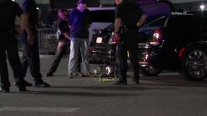 Drone pilot arrested ABC7
