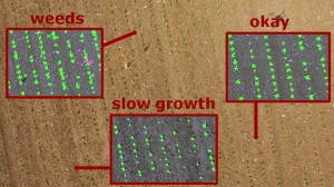 field_status